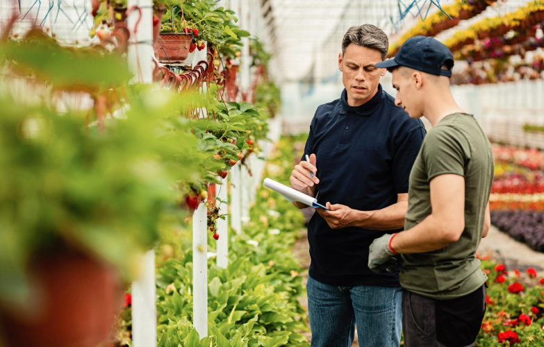 Agricultural professionals inspecting plants in a greenhouse.